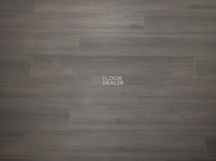 Ecoclick Wood  клеевой 2.3мм NOX-1709 Дуб Хорн фото 3 | FLOORDEALER